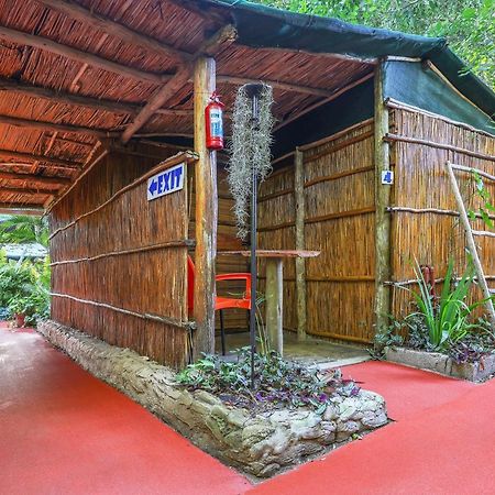 Gala Gala Eco Resort ポンタ・ド・オウロ エクステリア 写真
