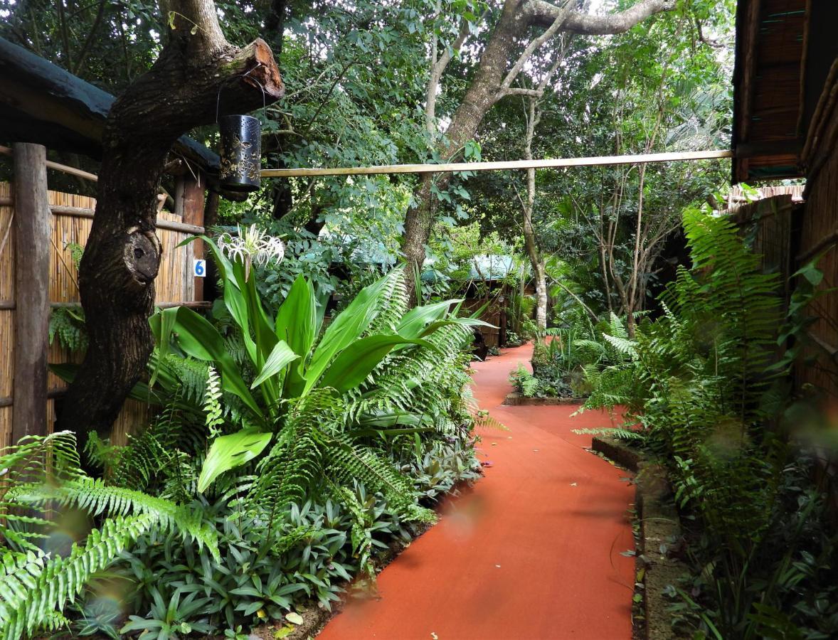 Gala Gala Eco Resort ポンタ・ド・オウロ エクステリア 写真
