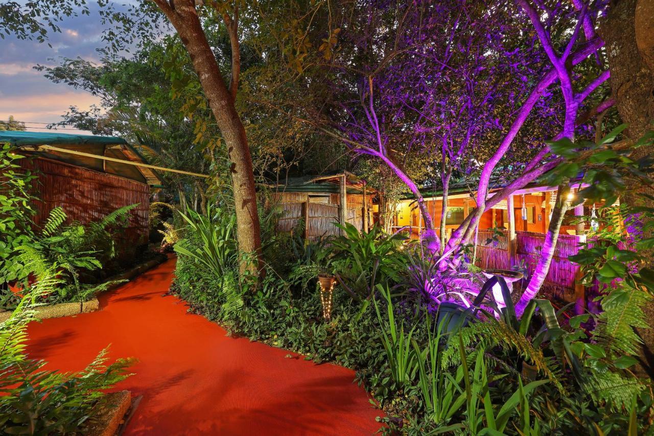 Gala Gala Eco Resort ポンタ・ド・オウロ エクステリア 写真