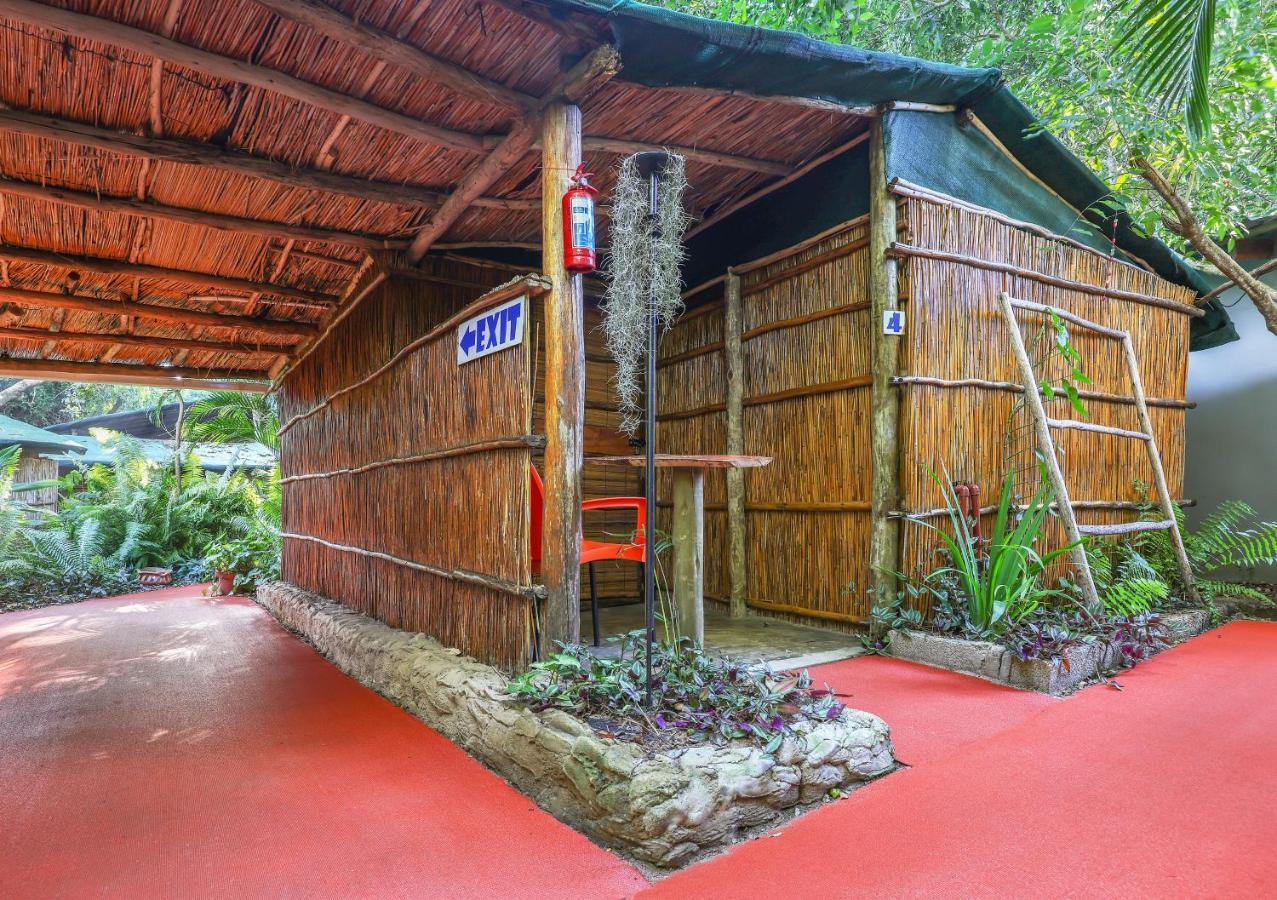 Gala Gala Eco Resort ポンタ・ド・オウロ エクステリア 写真